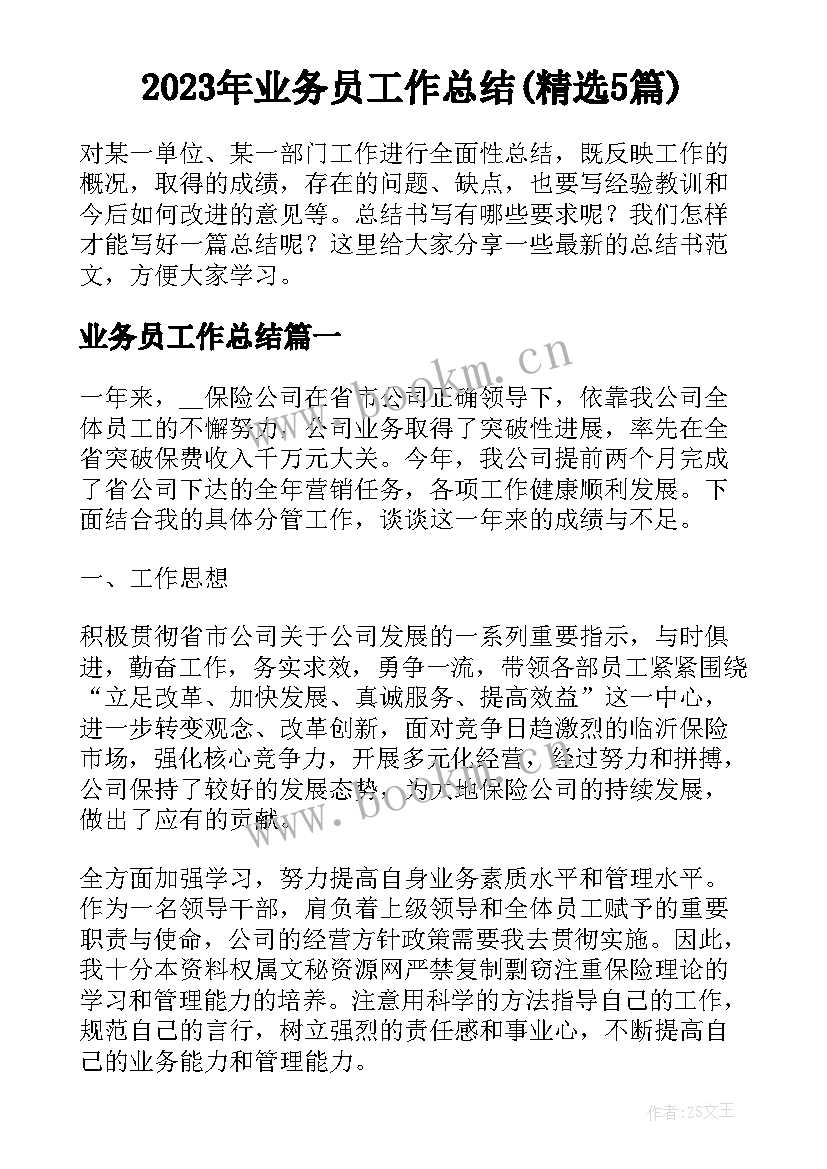 2023年业务员工作总结(精选5篇)