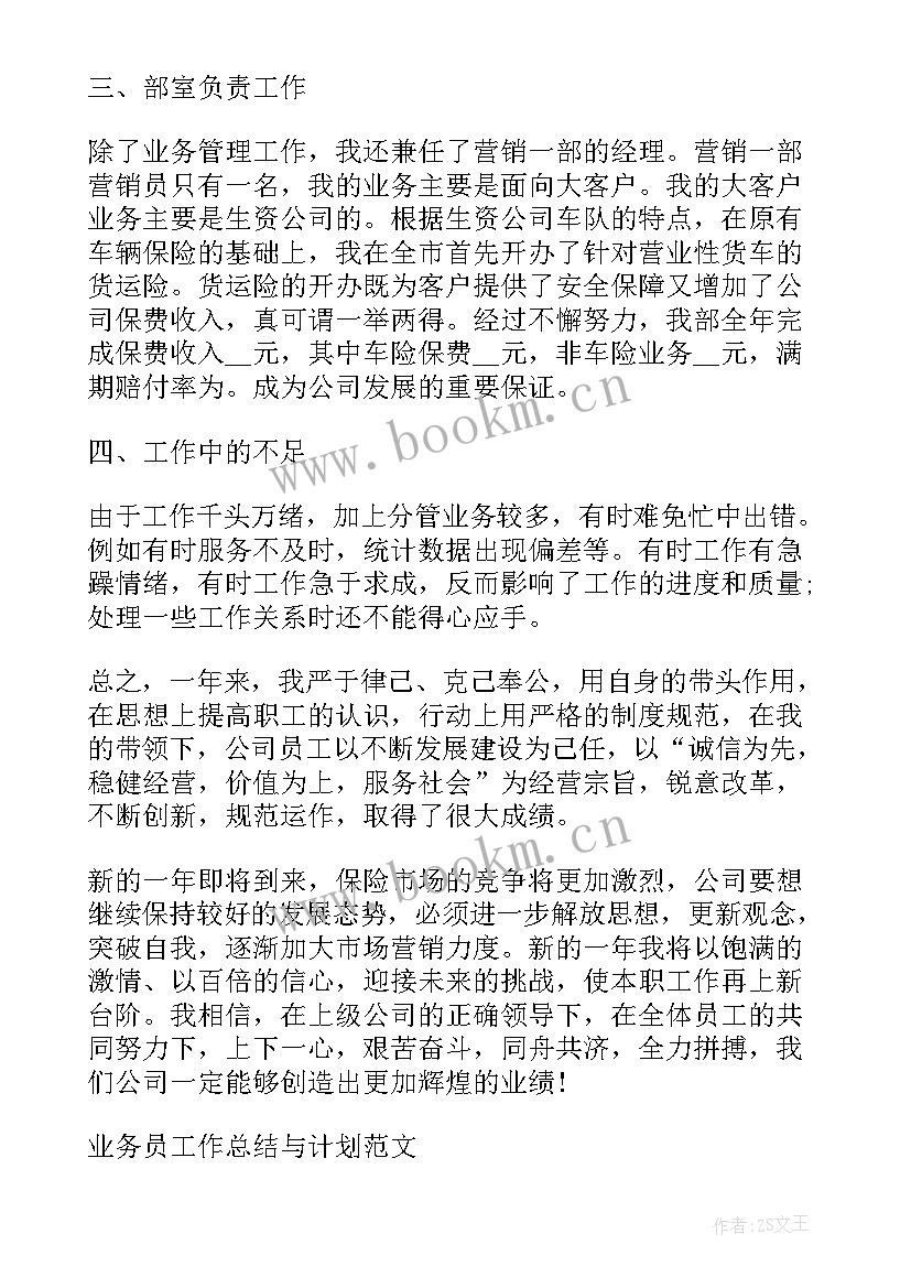 2023年业务员工作总结(精选5篇)