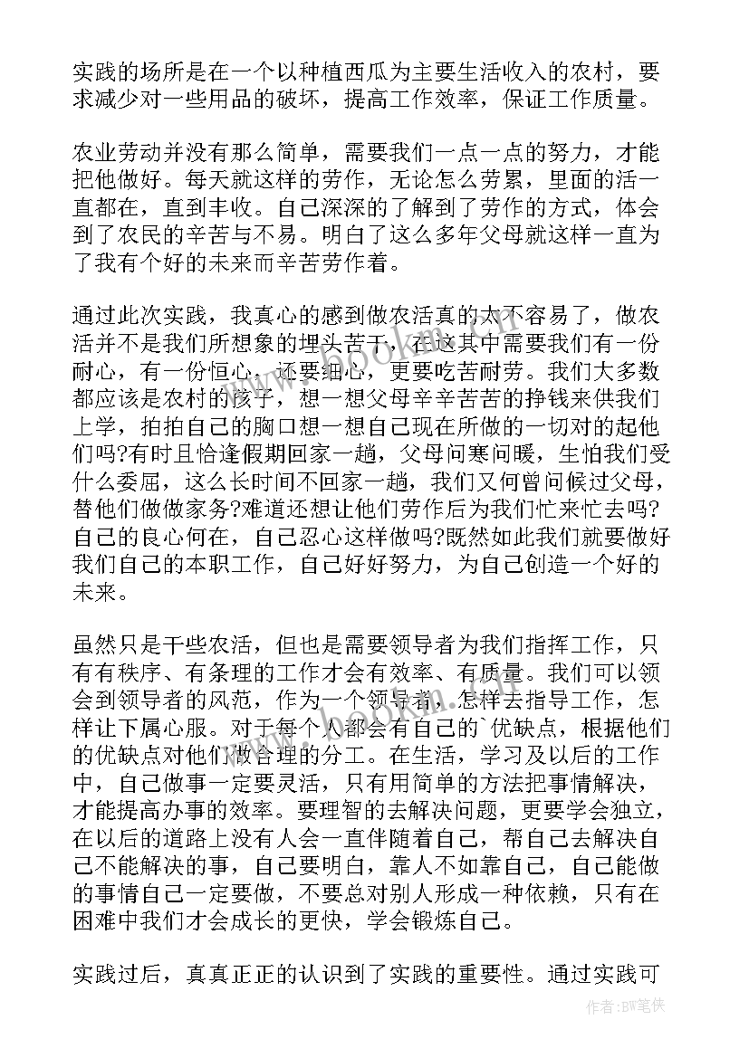 大学生农村实践报告(优秀5篇)