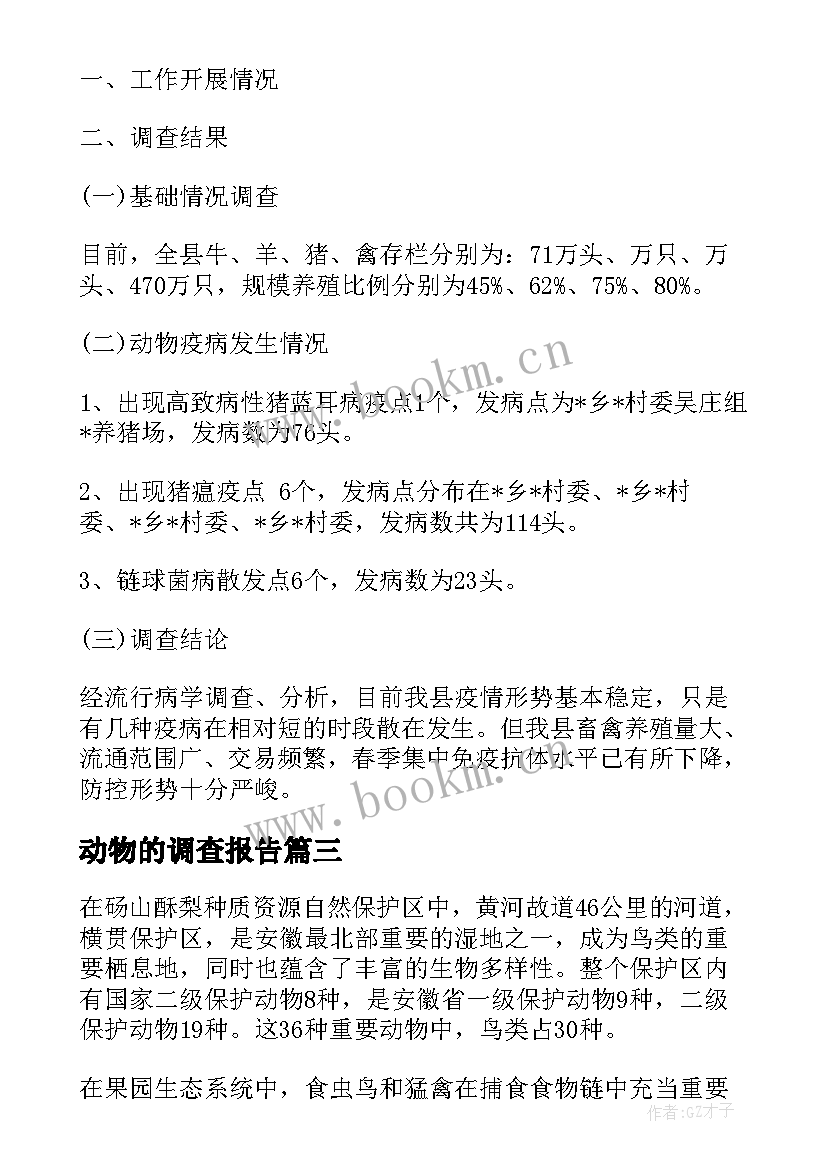 2023年动物的调查报告 动物园调查报告(大全5篇)