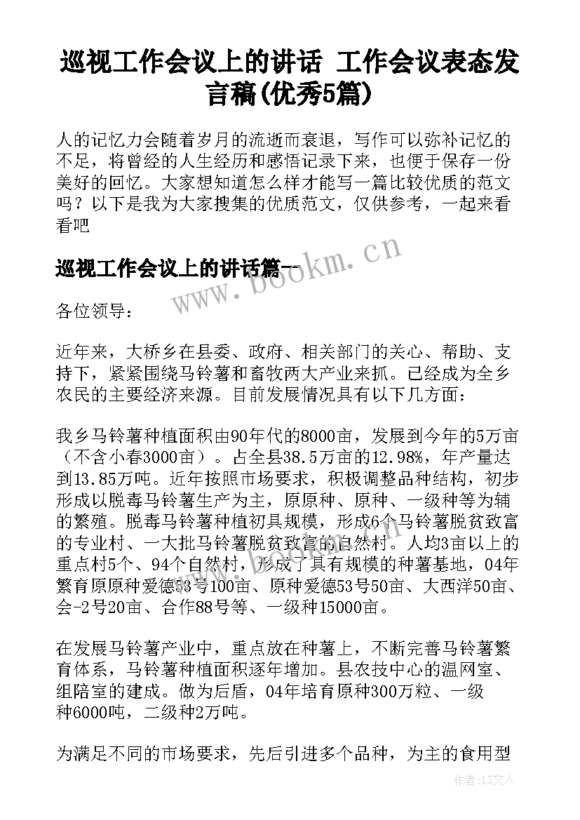 巡视工作会议上的讲话 工作会议表态发言稿(优秀5篇)