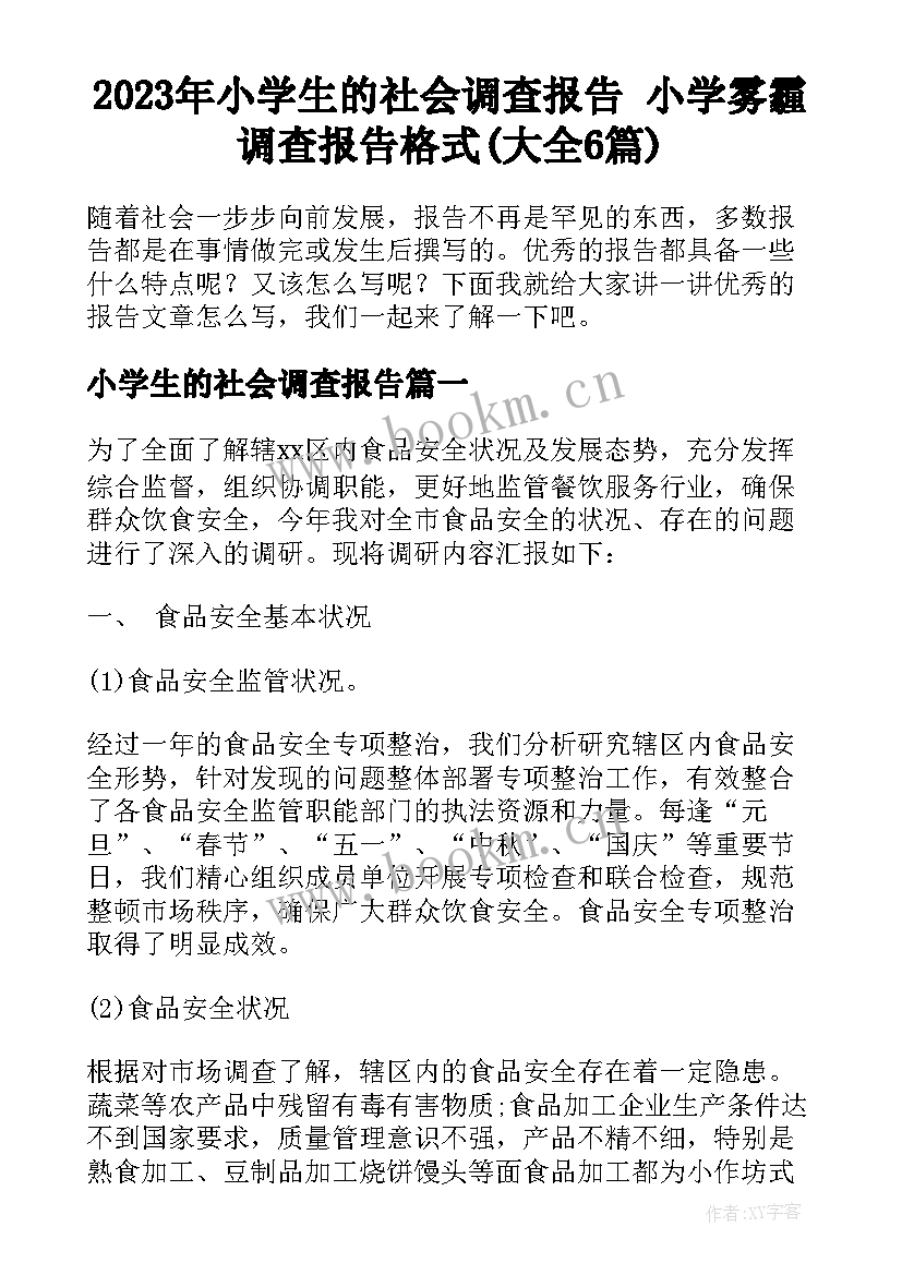 2023年小学生的社会调查报告 小学雾霾调查报告格式(大全6篇)