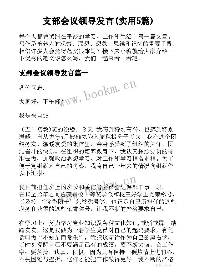 支部会议领导发言(实用5篇)