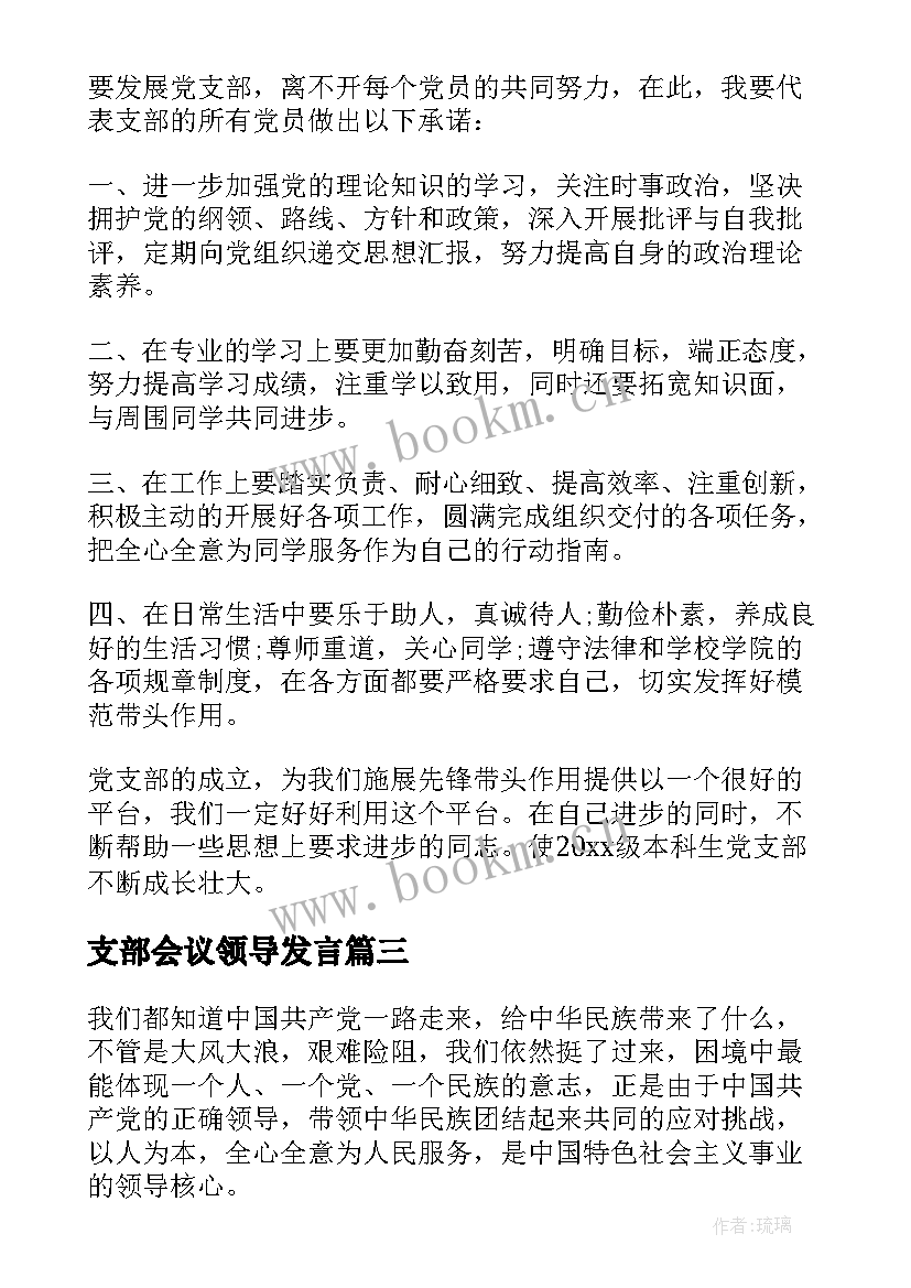 支部会议领导发言(实用5篇)