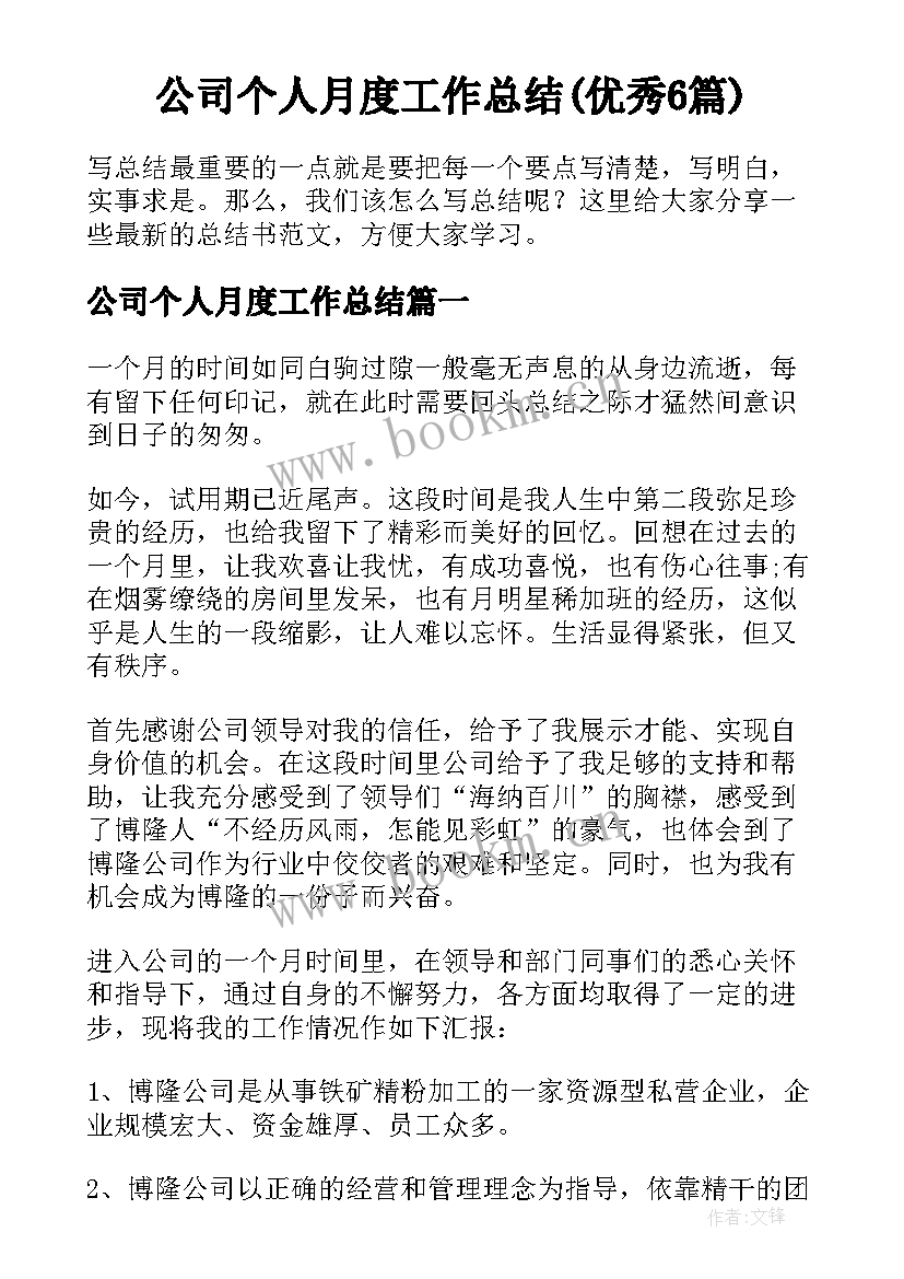 公司个人月度工作总结(优秀6篇)