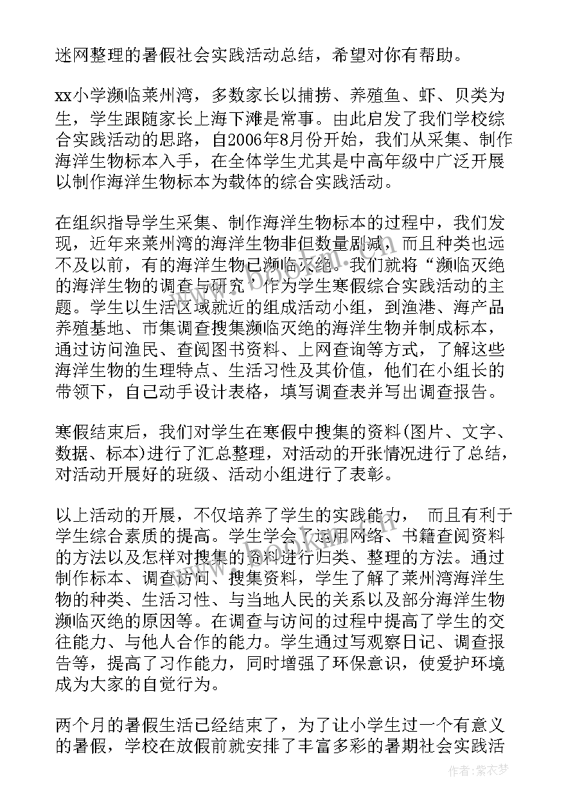 小学生暑假综合实践活动报告 小学生暑假综合实践调查报告(优秀5篇)