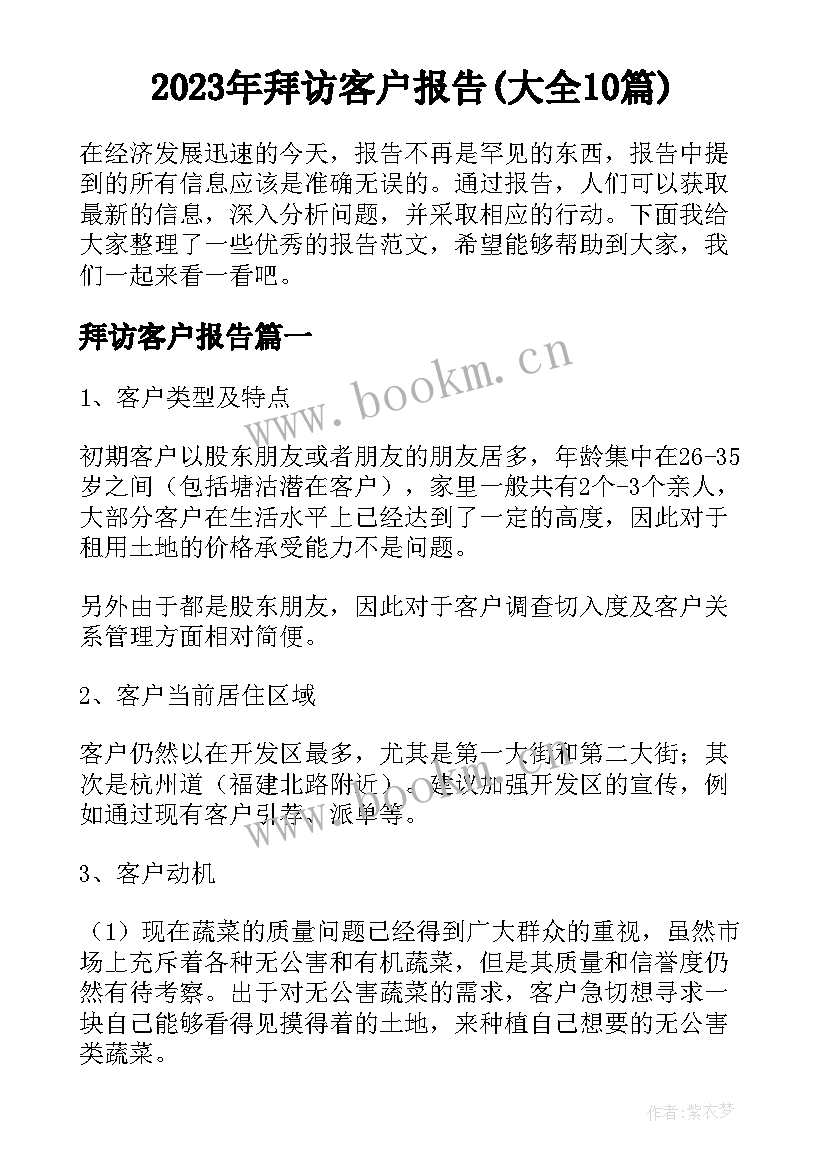 2023年拜访客户报告(大全10篇)