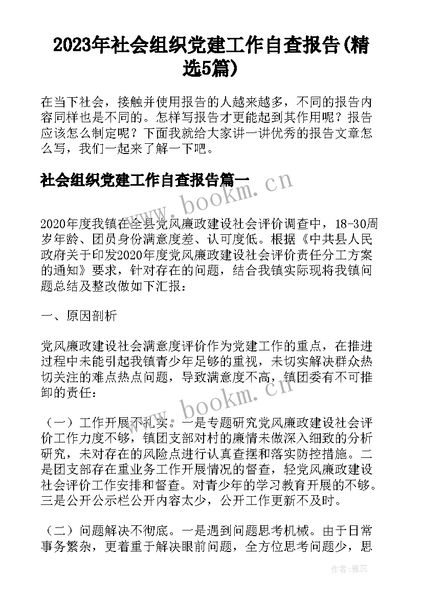 2023年社会组织党建工作自查报告(精选5篇)