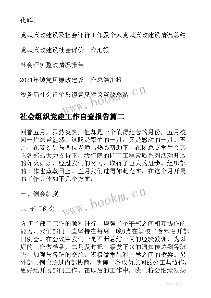 2023年社会组织党建工作自查报告(精选5篇)