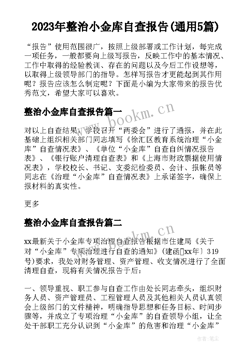 2023年整治小金库自查报告(通用5篇)
