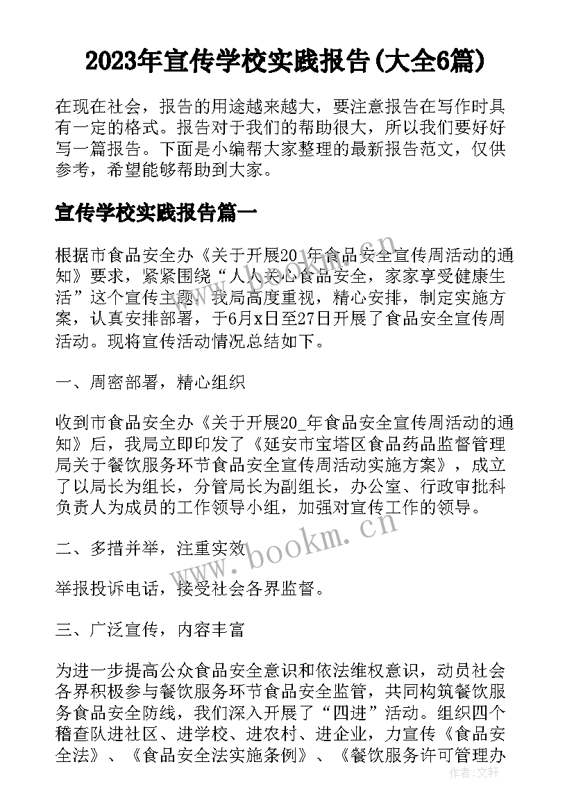 2023年宣传学校实践报告(大全6篇)