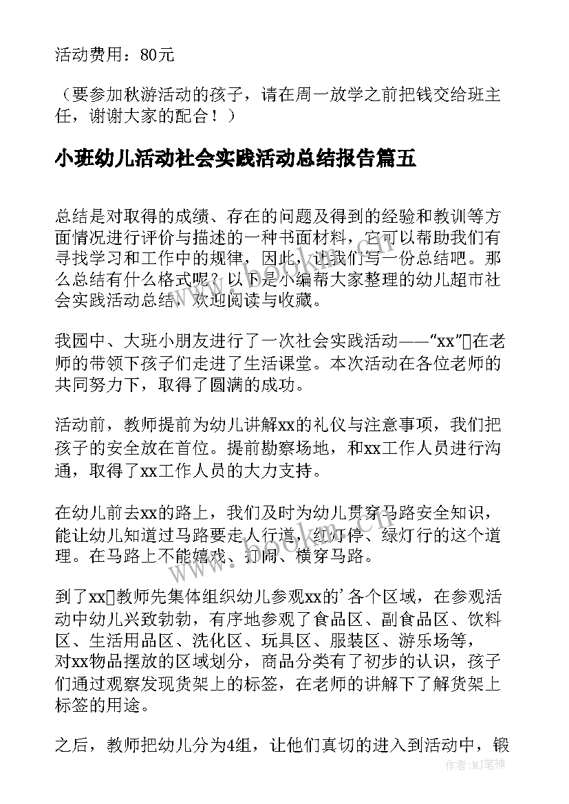 小班幼儿活动社会实践活动总结报告(大全7篇)