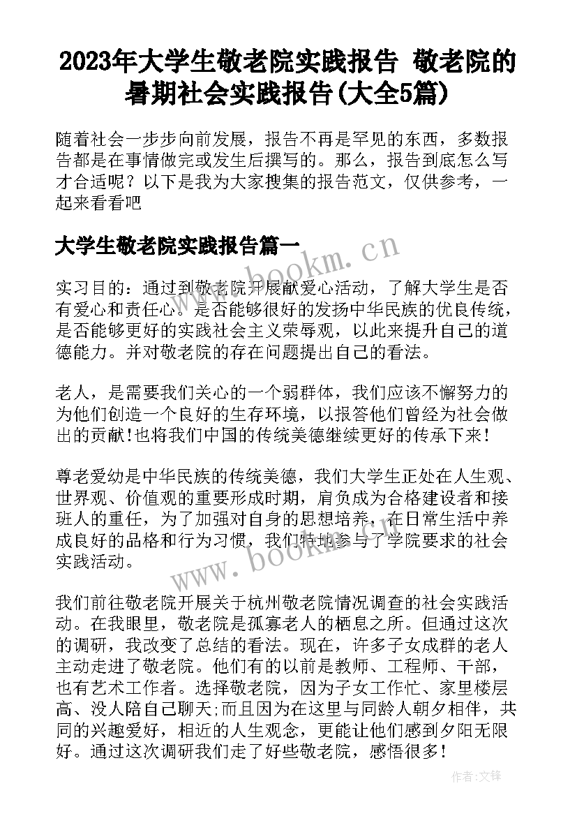 2023年大学生敬老院实践报告 敬老院的暑期社会实践报告(大全5篇)