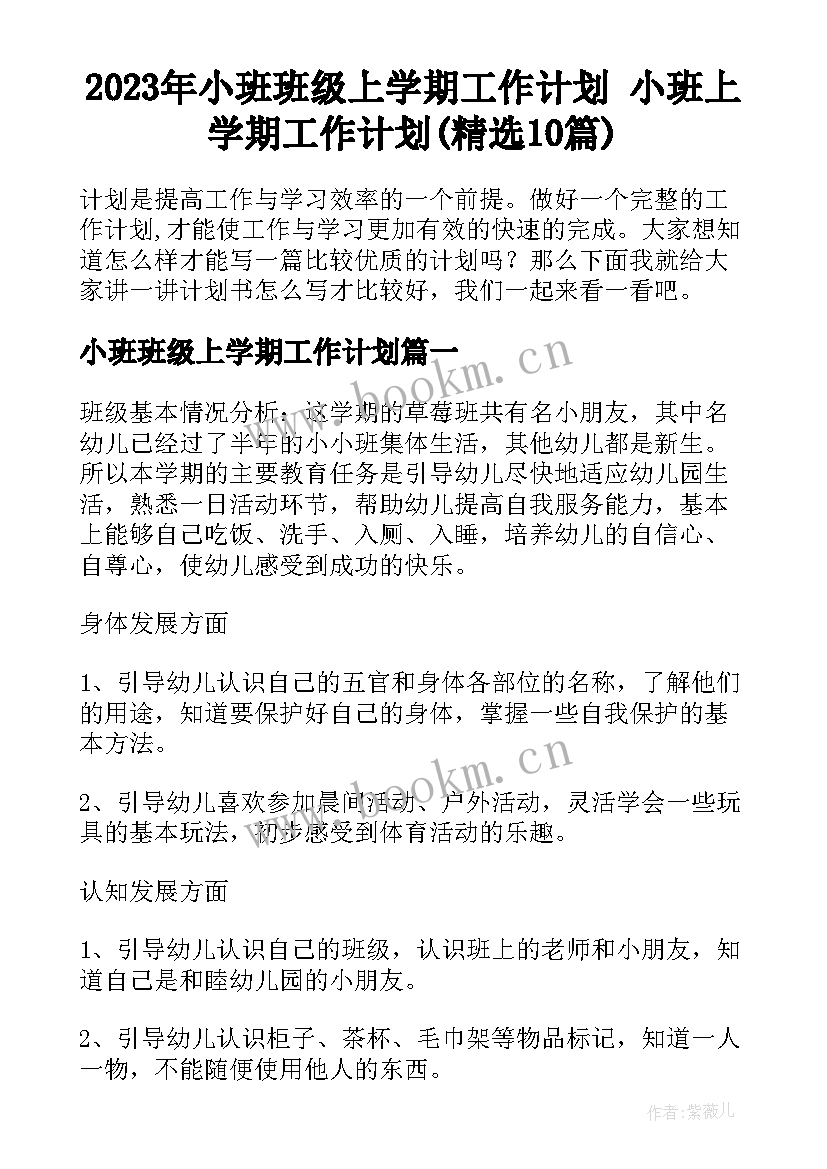 2023年小班班级上学期工作计划 小班上学期工作计划(精选10篇)