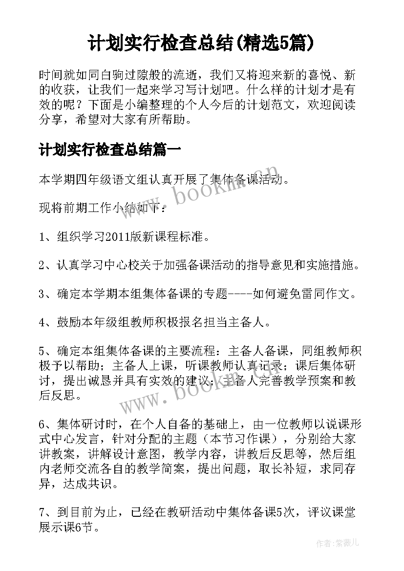 计划实行检查总结(精选5篇)