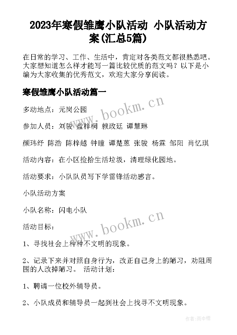 2023年寒假雏鹰小队活动 小队活动方案(汇总5篇)