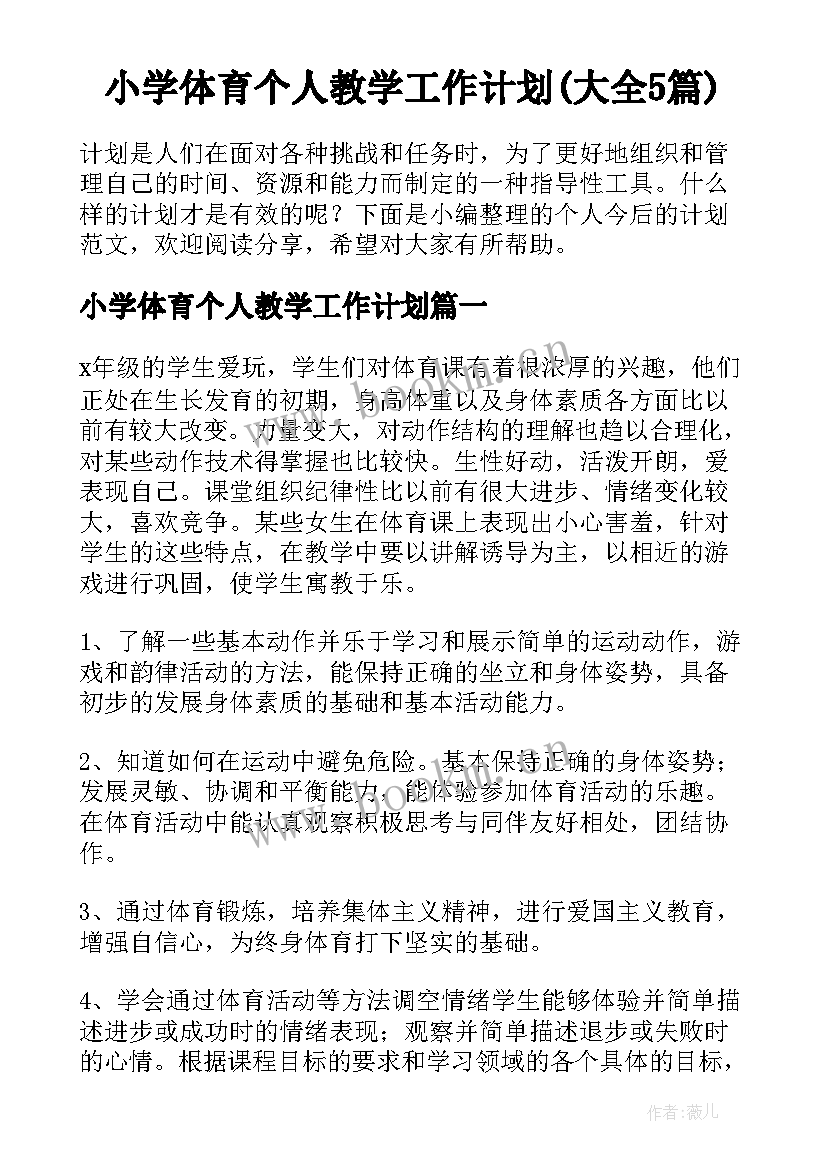 小学体育个人教学工作计划(大全5篇)