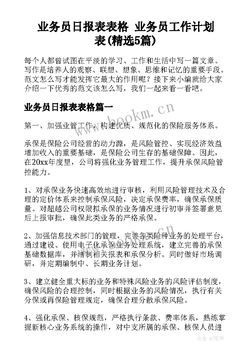 业务员日报表表格 业务员工作计划表(精选5篇)