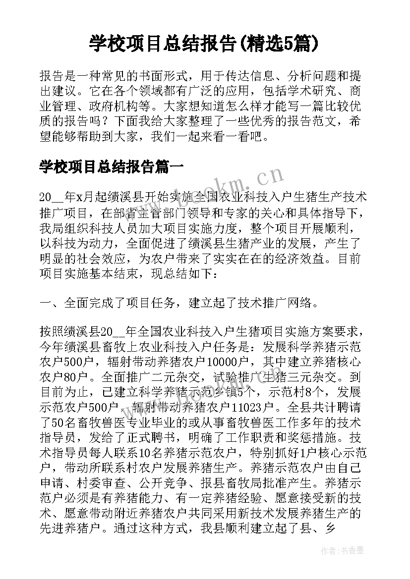 学校项目总结报告(精选5篇)