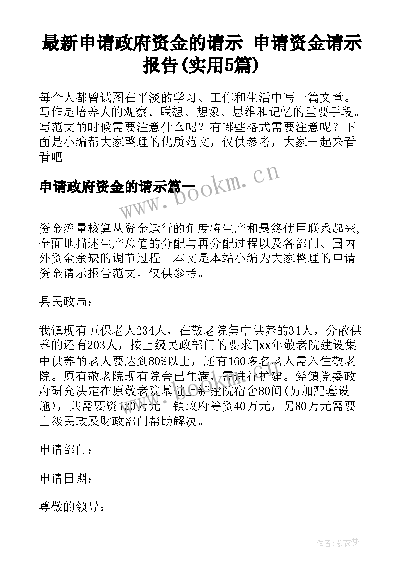 最新申请政府资金的请示 申请资金请示报告(实用5篇)