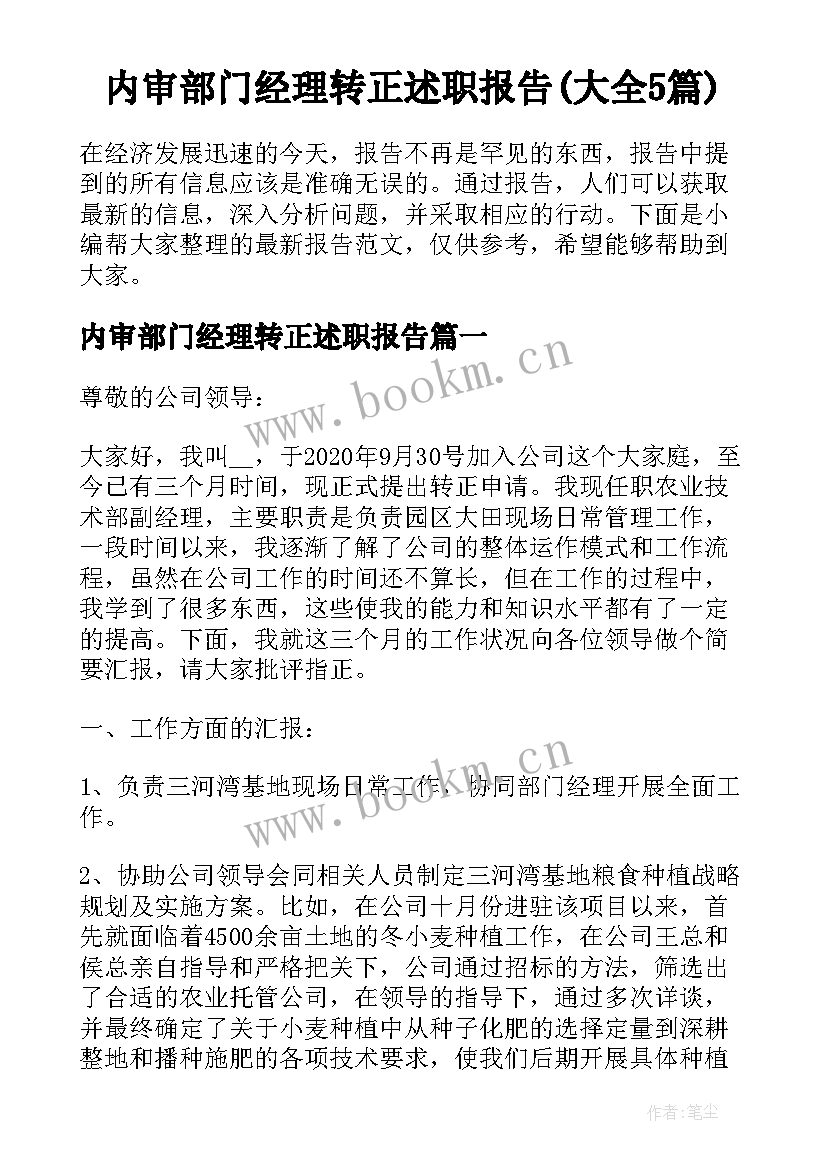 内审部门经理转正述职报告(大全5篇)