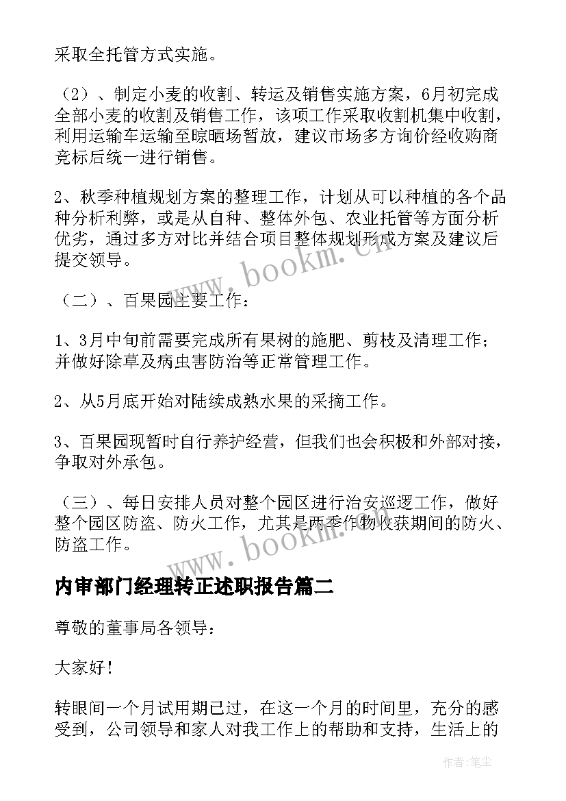 内审部门经理转正述职报告(大全5篇)