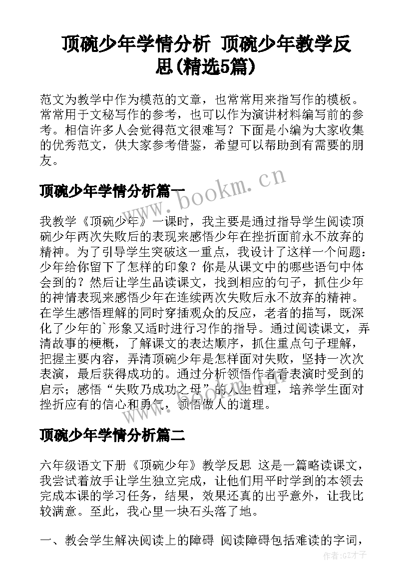 顶碗少年学情分析 顶碗少年教学反思(精选5篇)