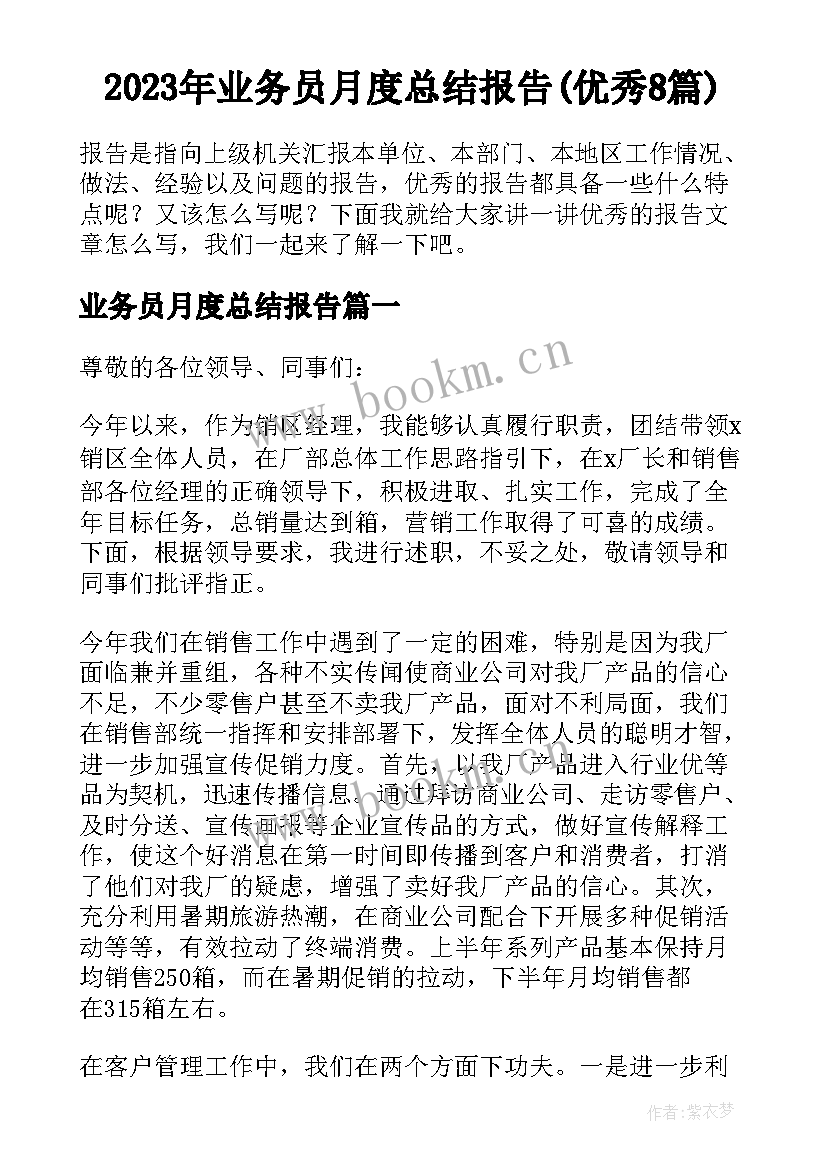 2023年业务员月度总结报告(优秀8篇)