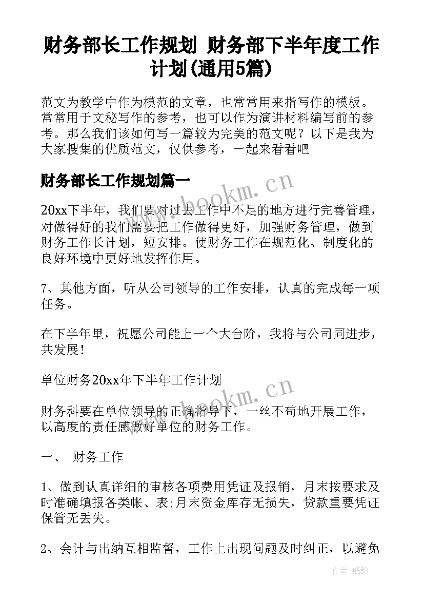 财务部长工作规划 财务部下半年度工作计划(通用5篇)