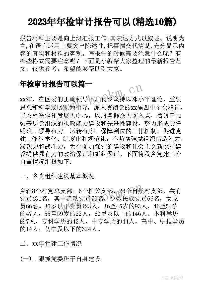 2023年年检审计报告可以(精选10篇)