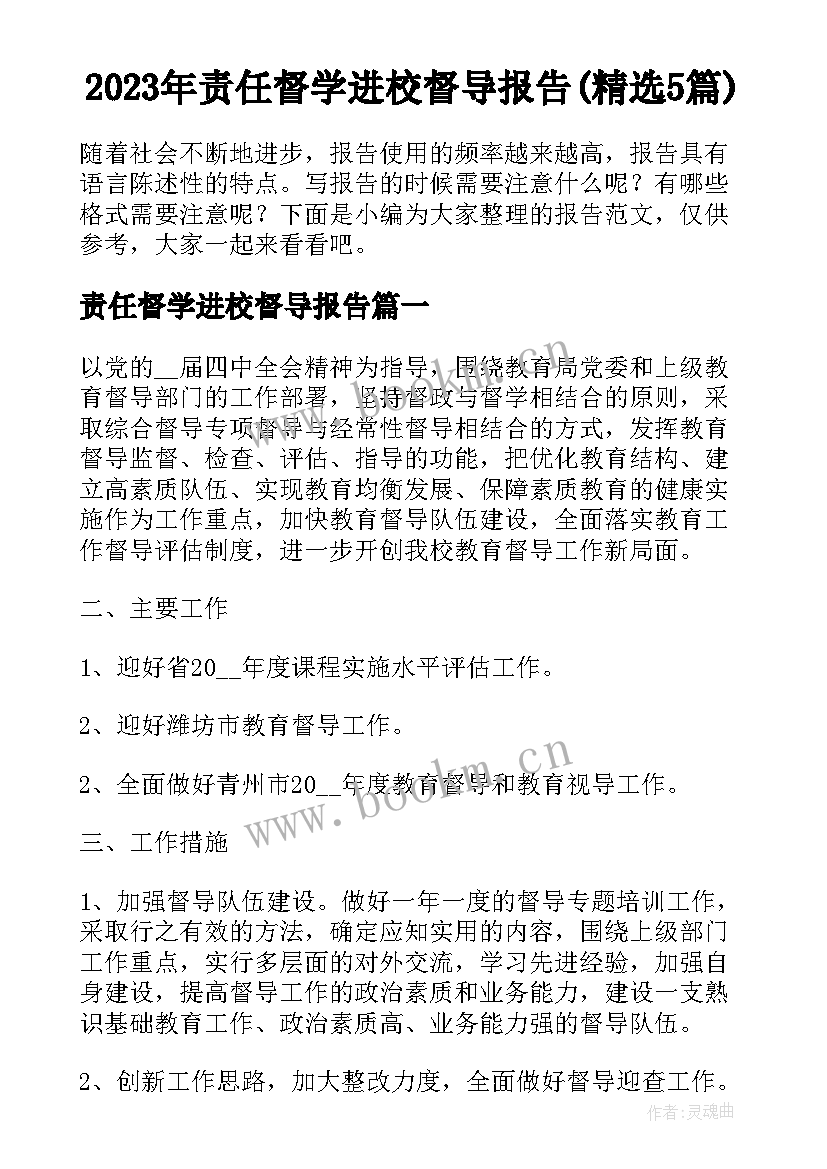 2023年责任督学进校督导报告(精选5篇)