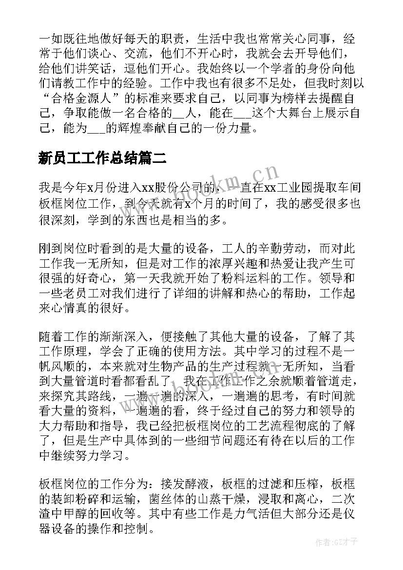 新员工工作总结 新员工试用期个人工作总结(精选5篇)