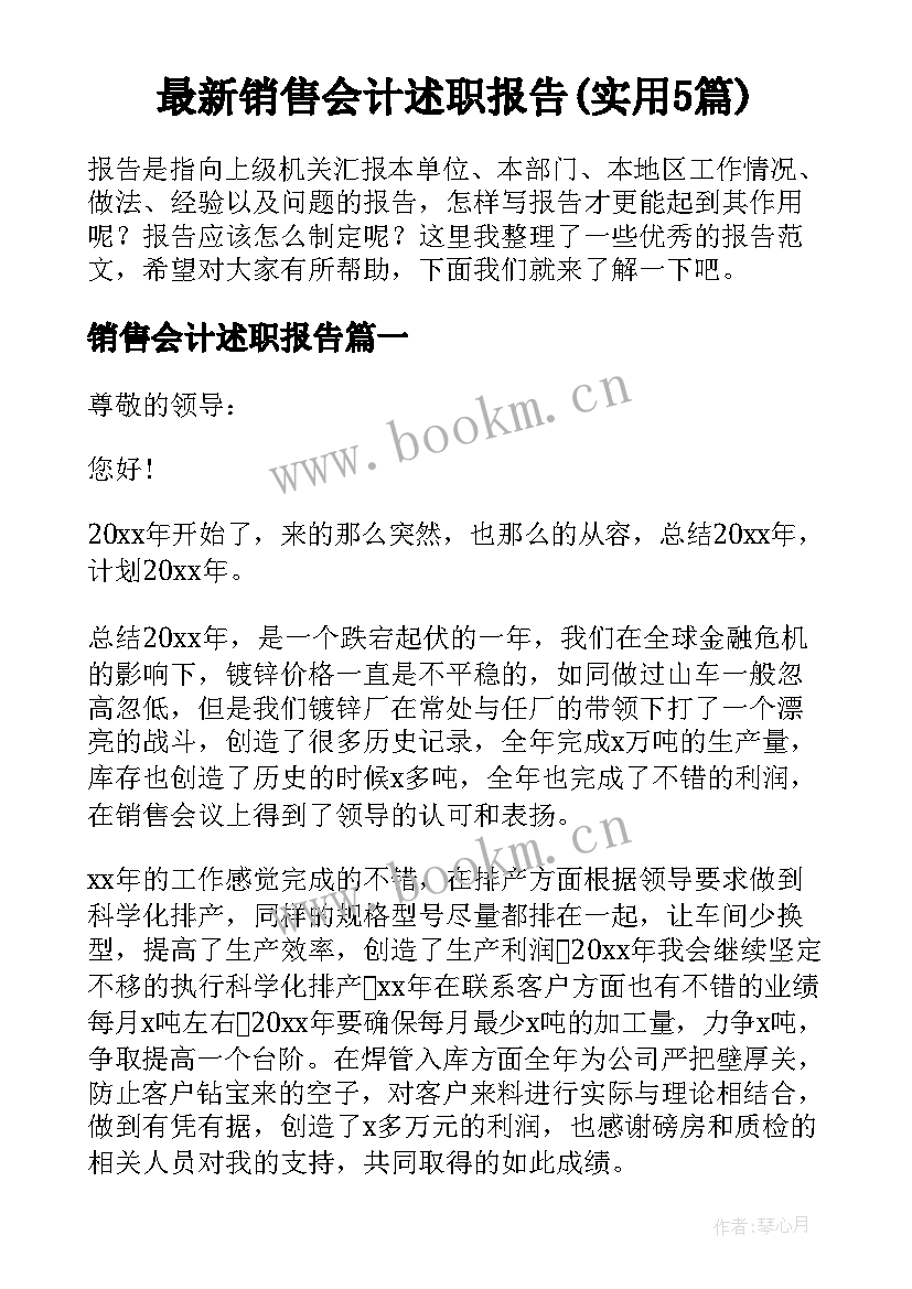 最新销售会计述职报告(实用5篇)