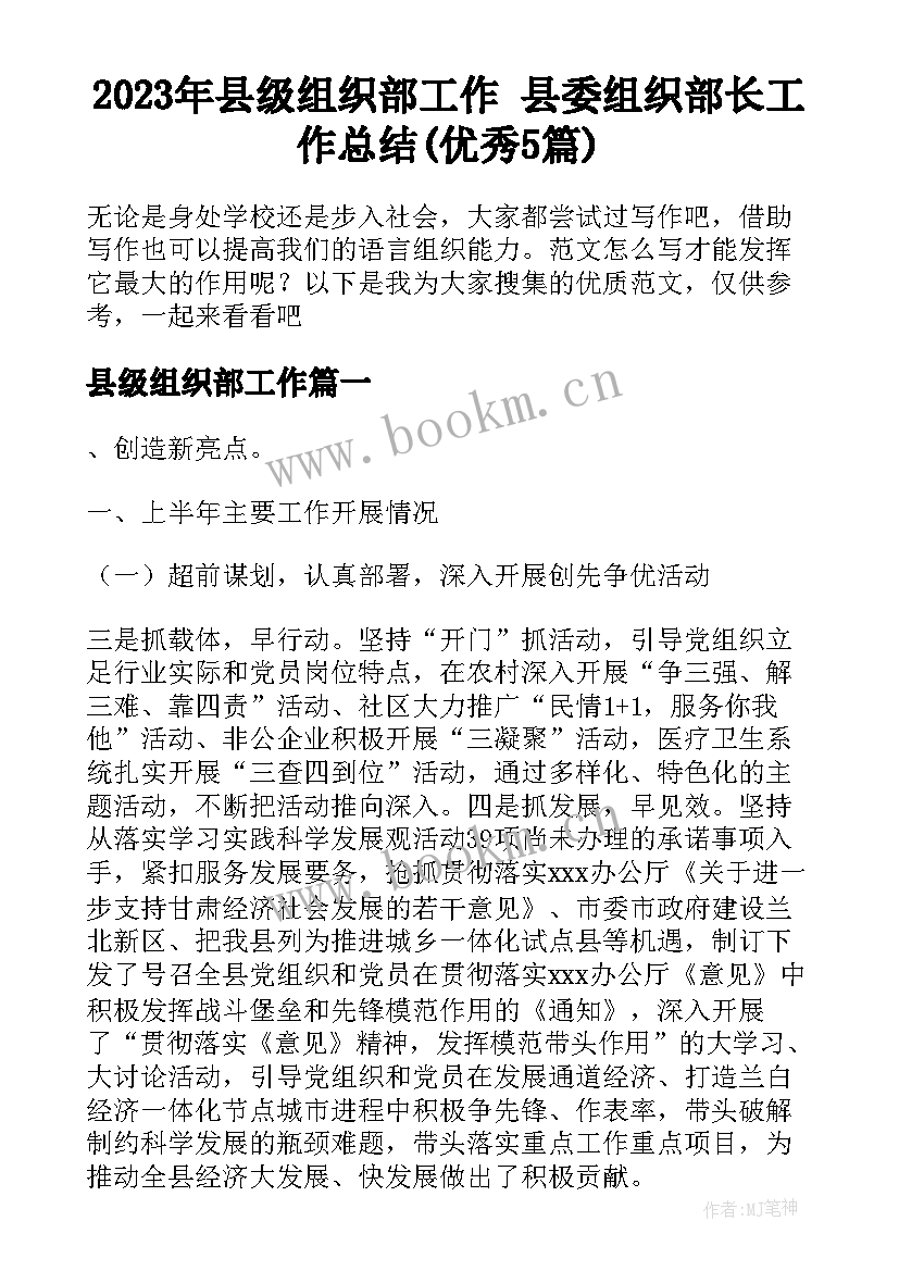 2023年县级组织部工作 县委组织部长工作总结(优秀5篇)