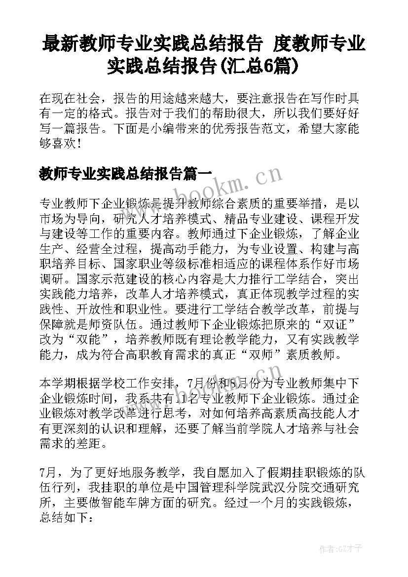 最新教师专业实践总结报告 度教师专业实践总结报告(汇总6篇)