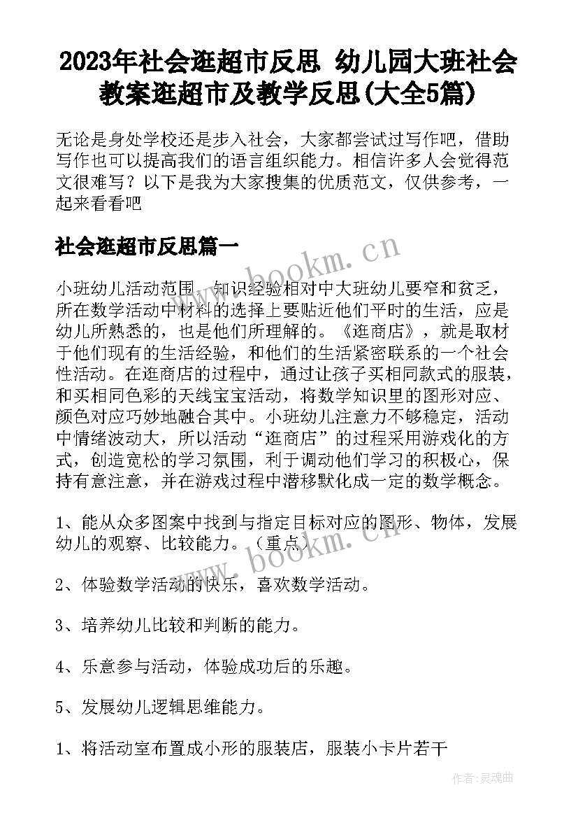 2023年社会逛超市反思 幼儿园大班社会教案逛超市及教学反思(大全5篇)