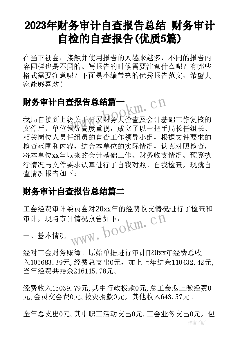 2023年财务审计自查报告总结 财务审计自检的自查报告(优质5篇)