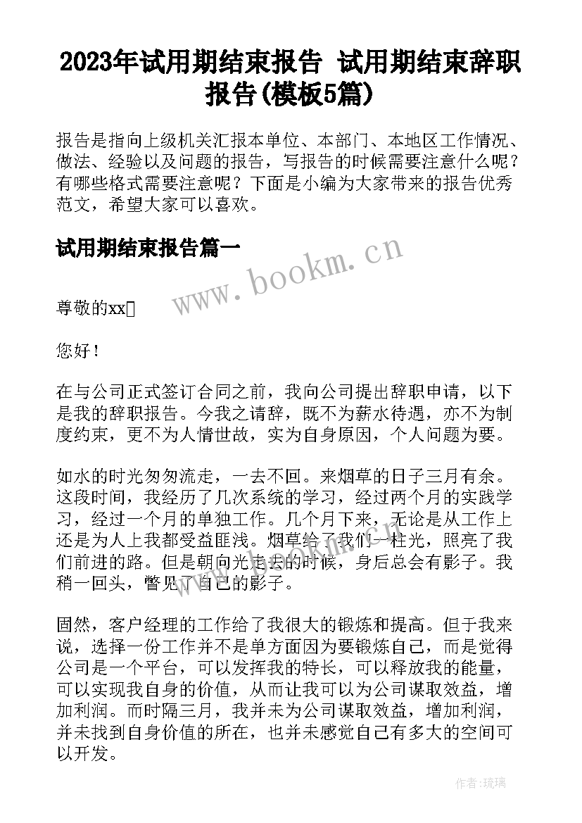 2023年试用期结束报告 试用期结束辞职报告(模板5篇)