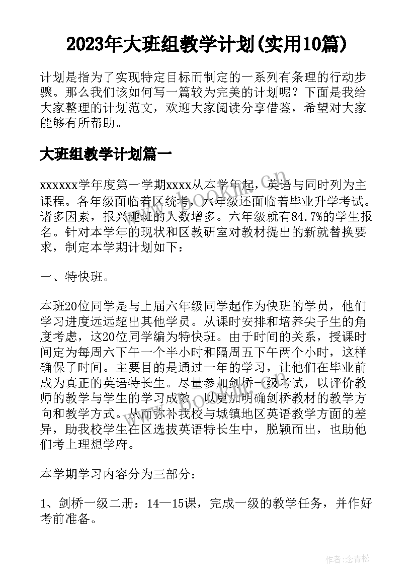 2023年大班组教学计划(实用10篇)