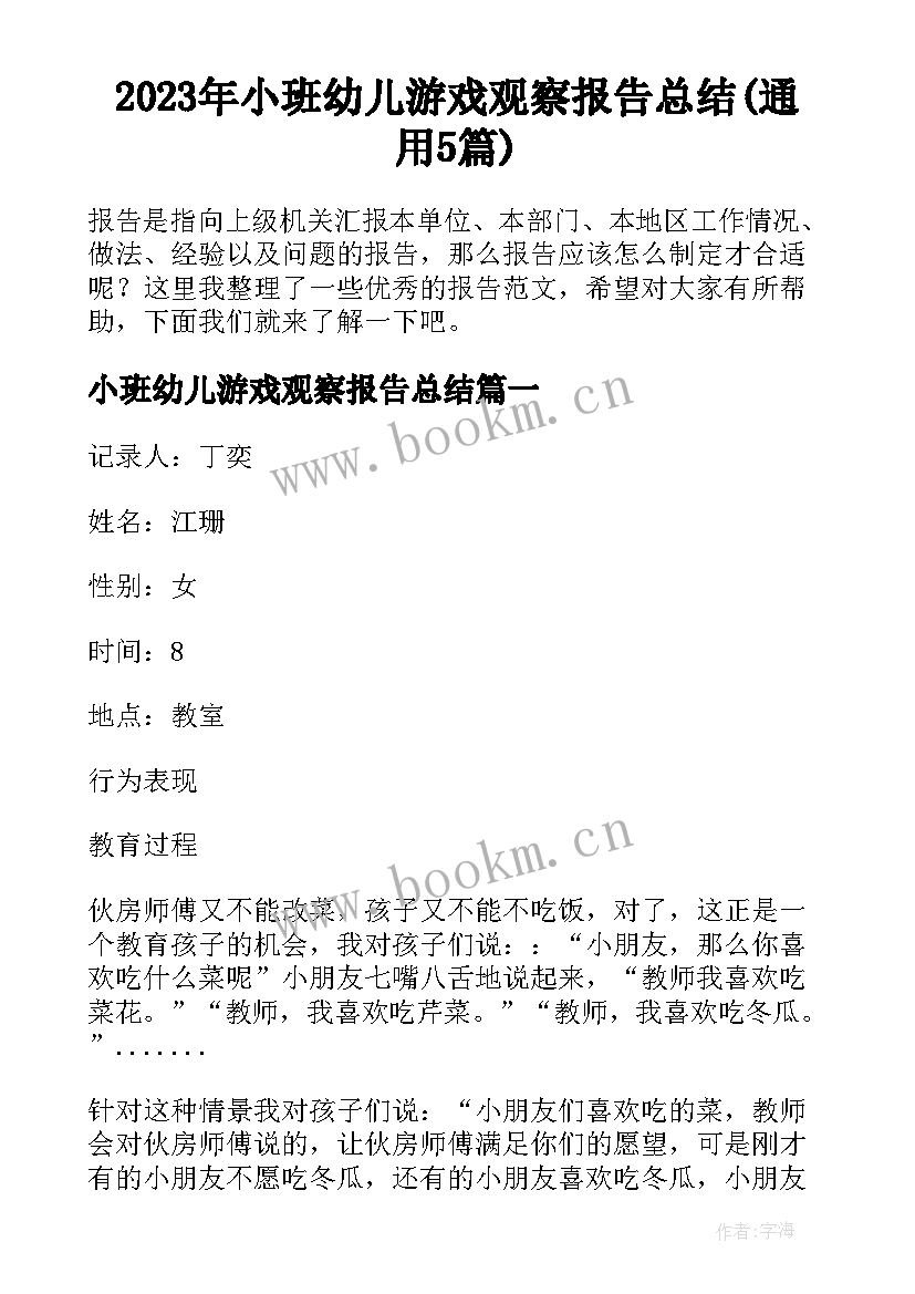 2023年小班幼儿游戏观察报告总结(通用5篇)