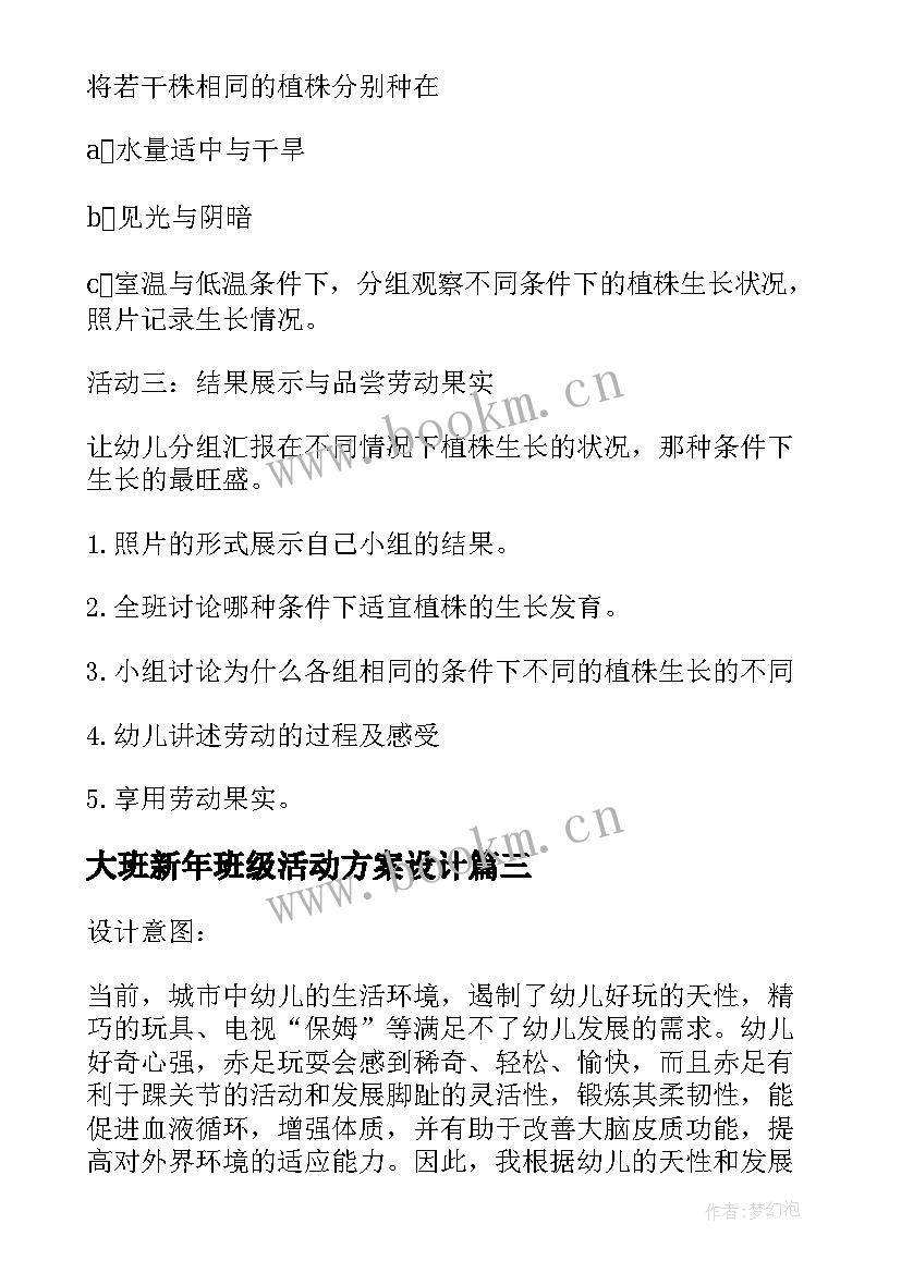 最新大班新年班级活动方案设计 大班班级活动方案(模板8篇)