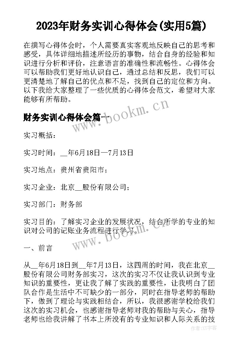 2023年财务实训心得体会(实用5篇)