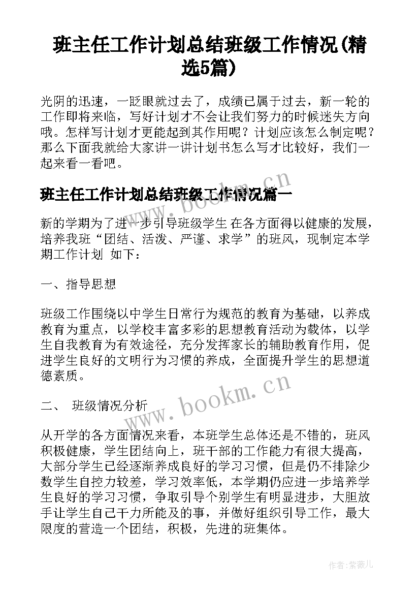 班主任工作计划总结班级工作情况(精选5篇)