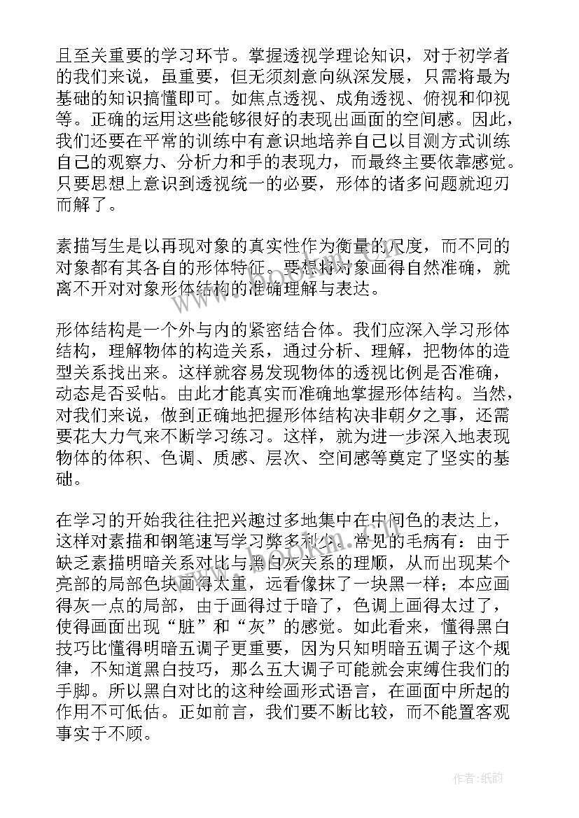 素描实训报告总结(通用5篇)