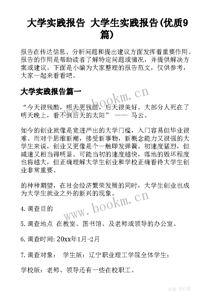 大学实践报告 大学生实践报告(优质9篇)