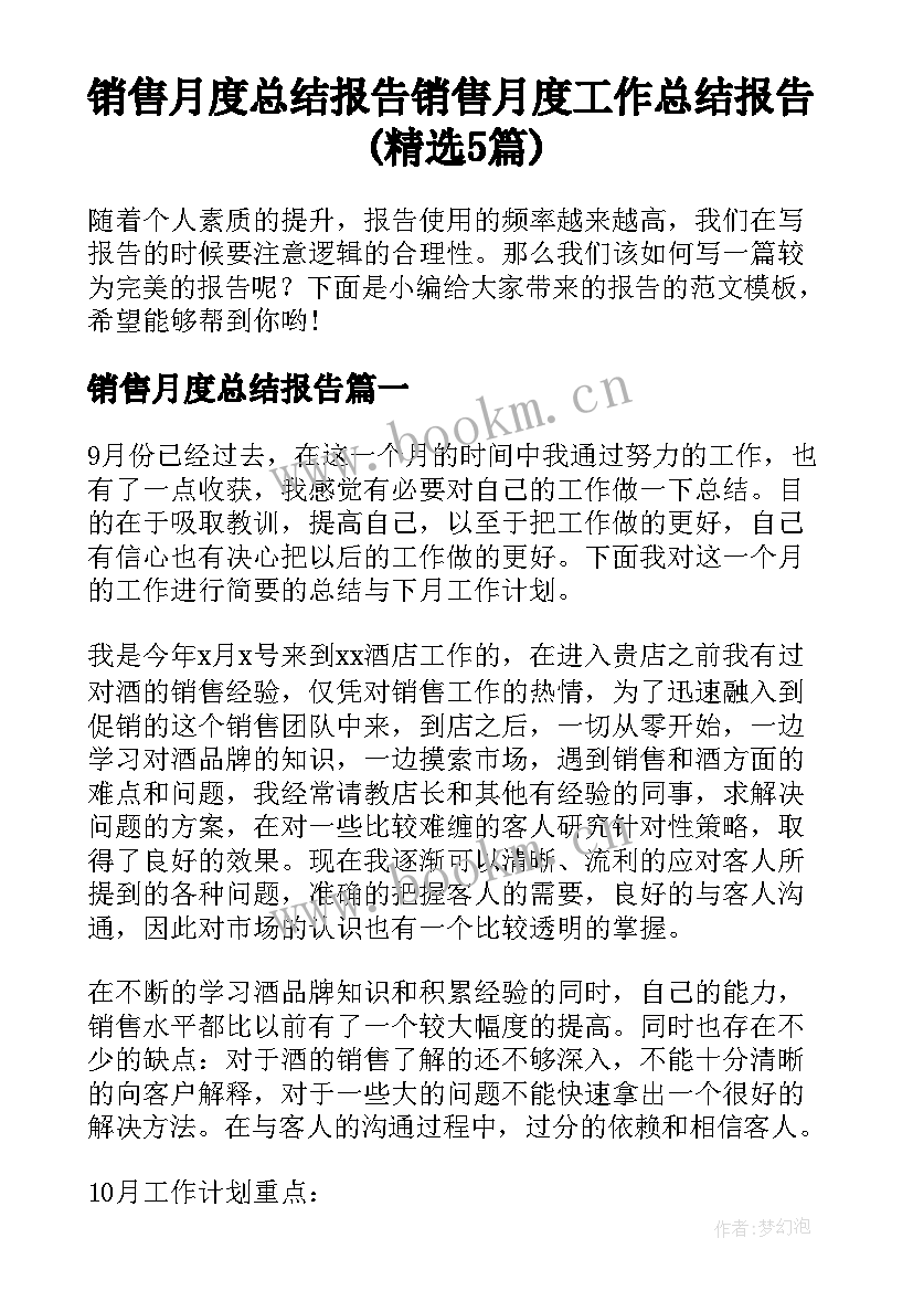 销售月度总结报告 销售月度工作总结报告(精选5篇)