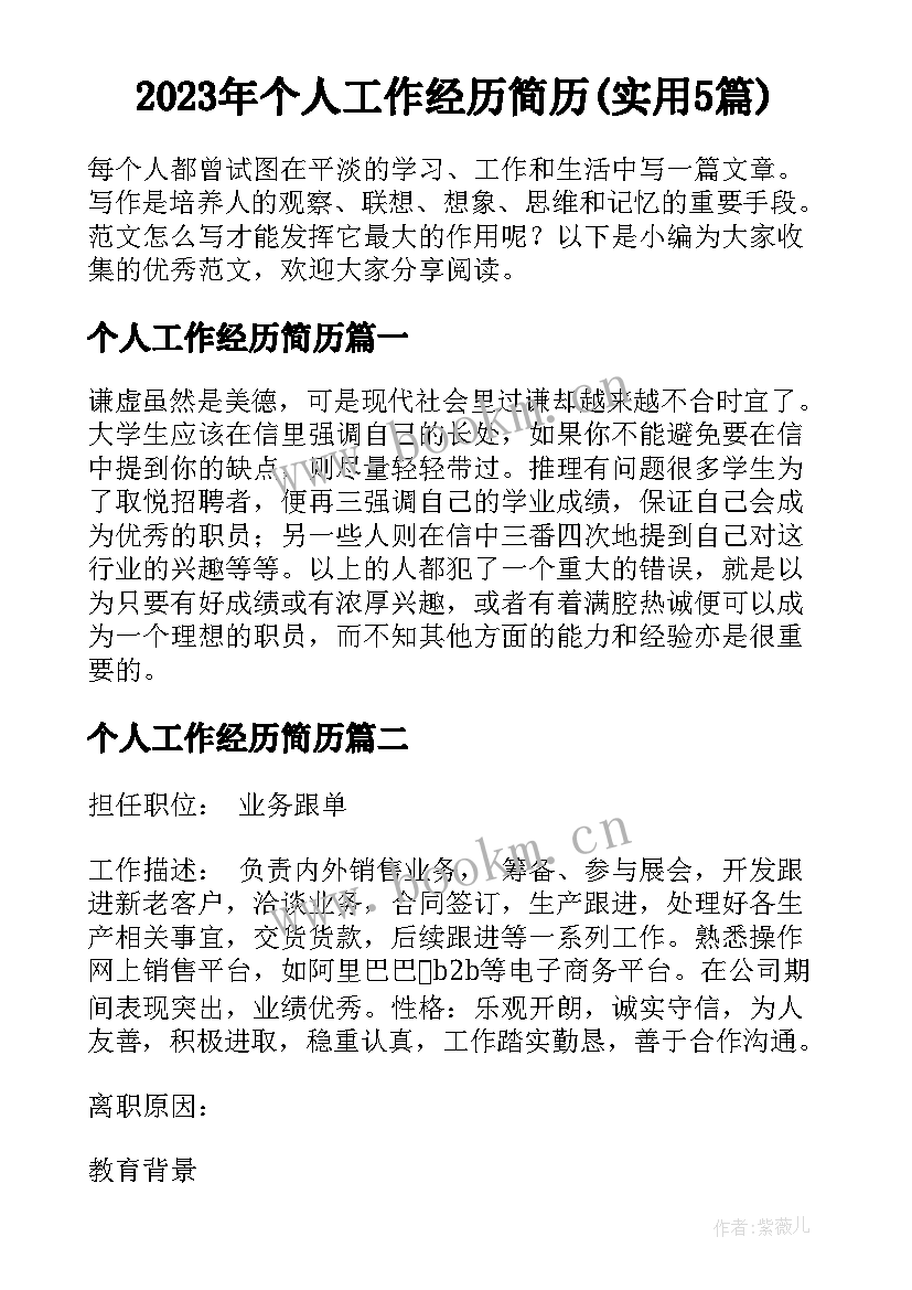 2023年个人工作经历简历(实用5篇)