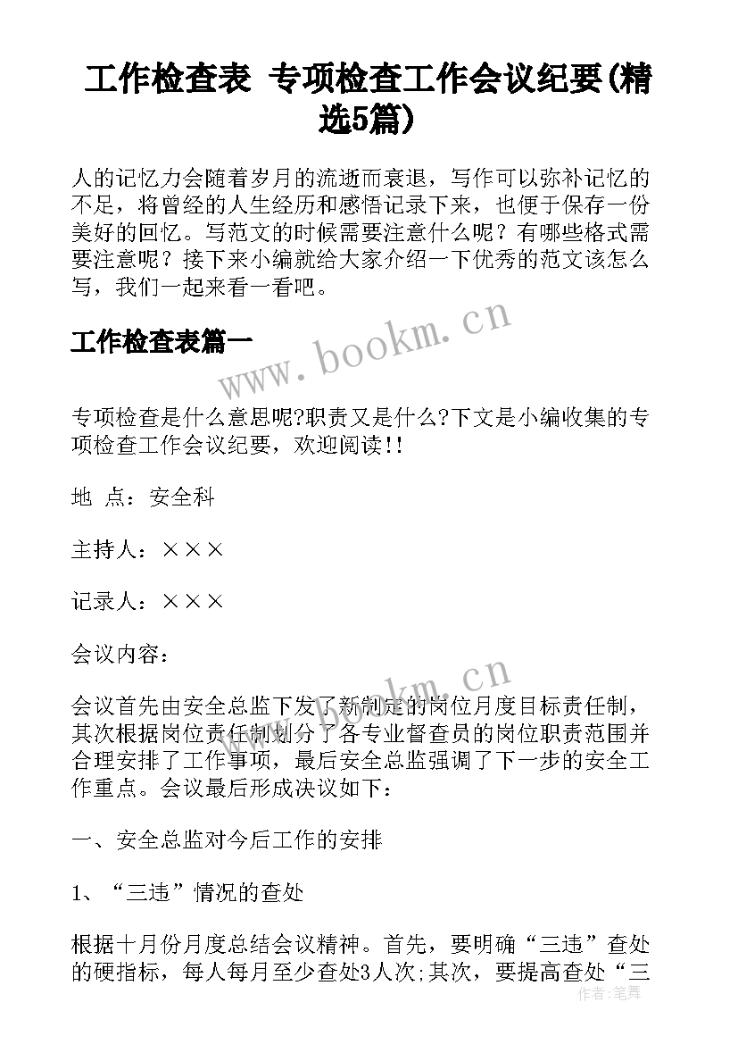 工作检查表 专项检查工作会议纪要(精选5篇)