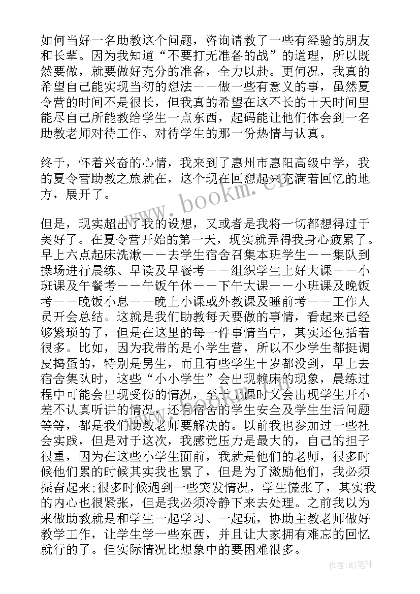 实践总结报告心得体会 实践总结报告高中(实用7篇)