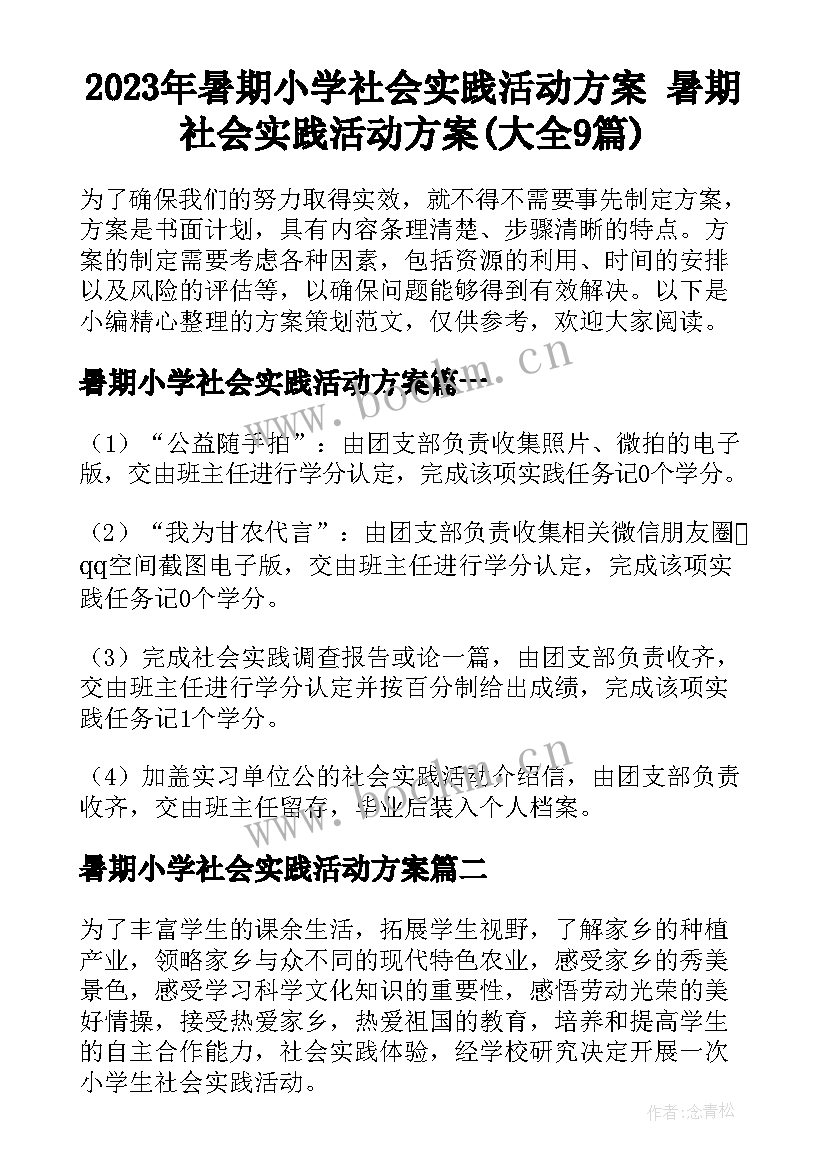 2023年暑期小学社会实践活动方案 暑期社会实践活动方案(大全9篇)